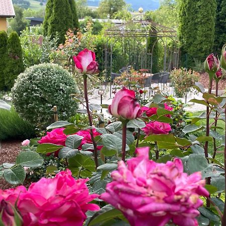 Bed And Breakfast Mittelkaernten Althofen  Eksteriør bilde