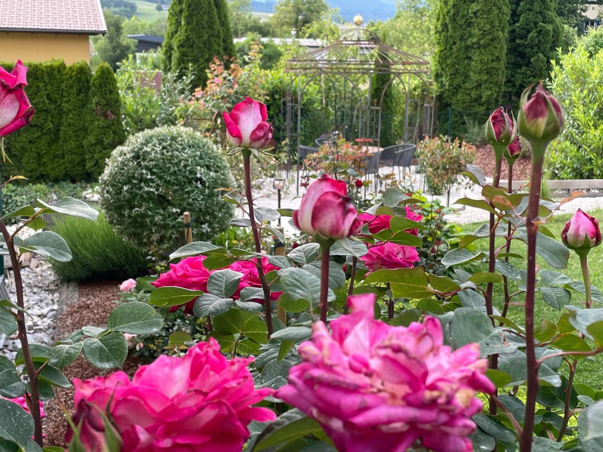 Bed And Breakfast Mittelkaernten Althofen  Eksteriør bilde